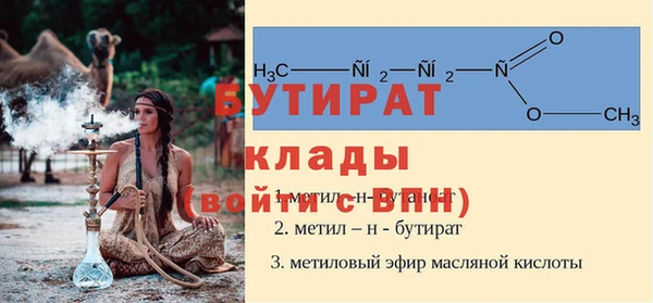 сатива Новодвинск