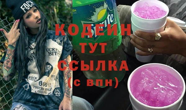 сатива Новодвинск