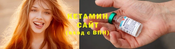 сатива Новодвинск