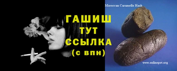 сатива Новодвинск