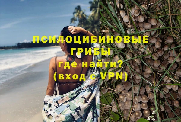 бошки Нягань