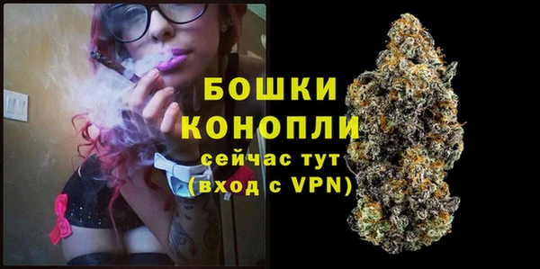 твердый Новокубанск