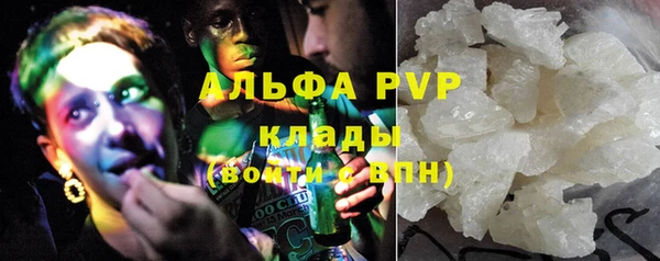 сатива Новодвинск