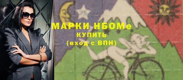 сатива Новодвинск