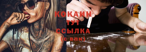 стафф Дегтярск