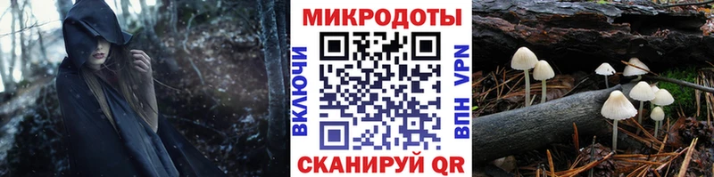 Псилоцибиновые грибы прущие грибы  закладки  Покачи 