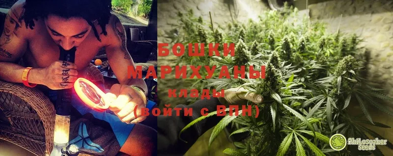 Бошки марихуана OG Kush  Покачи 